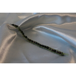 Bracelet de Perles de Tourmaline Verte Véritable. (2)
