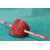 Barette-Chignon-Polymere-Rose-Acidule (4)