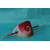 Barette-Chignon-Polymere-Rouge-Blanc (2)