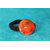 ChouChou-Pâte Polymère Orange-Décalcomanie Feuillage (4)