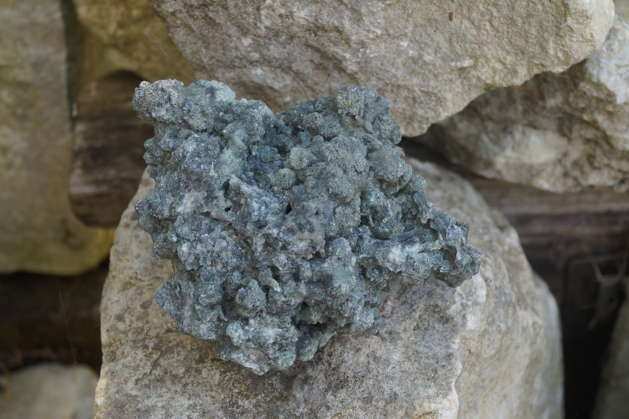 DSC00026