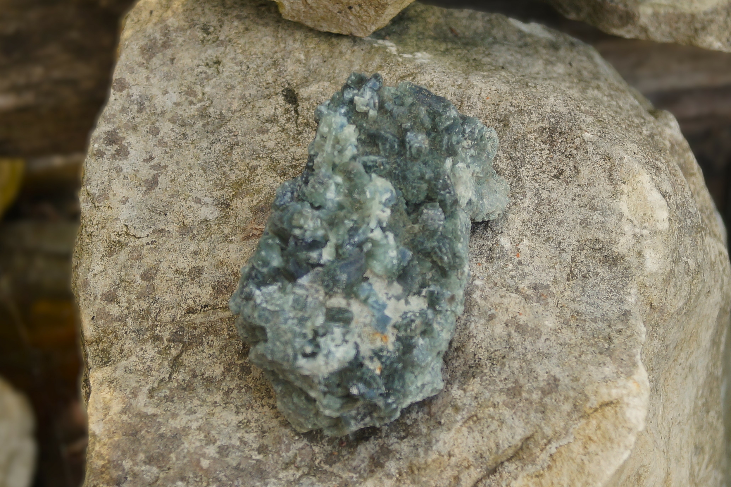 DSC00022
