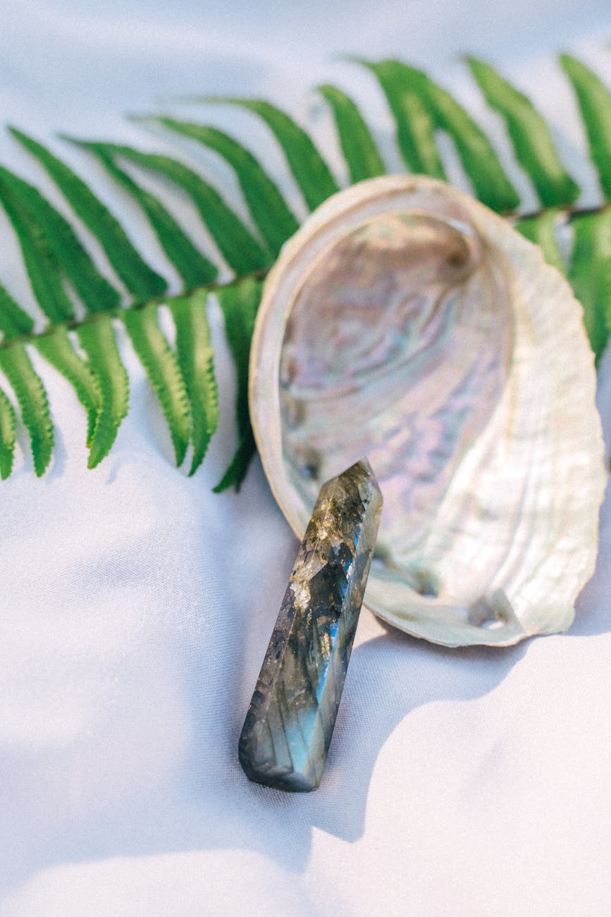 Cristal Appuyé Sur Une Coquille D'ormeau