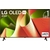 LG OLED 48 pouces 1