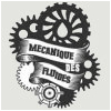 Mécanique des Fluides