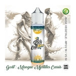 cocorico-mangue-myrtille-cassis
