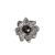 1000024060