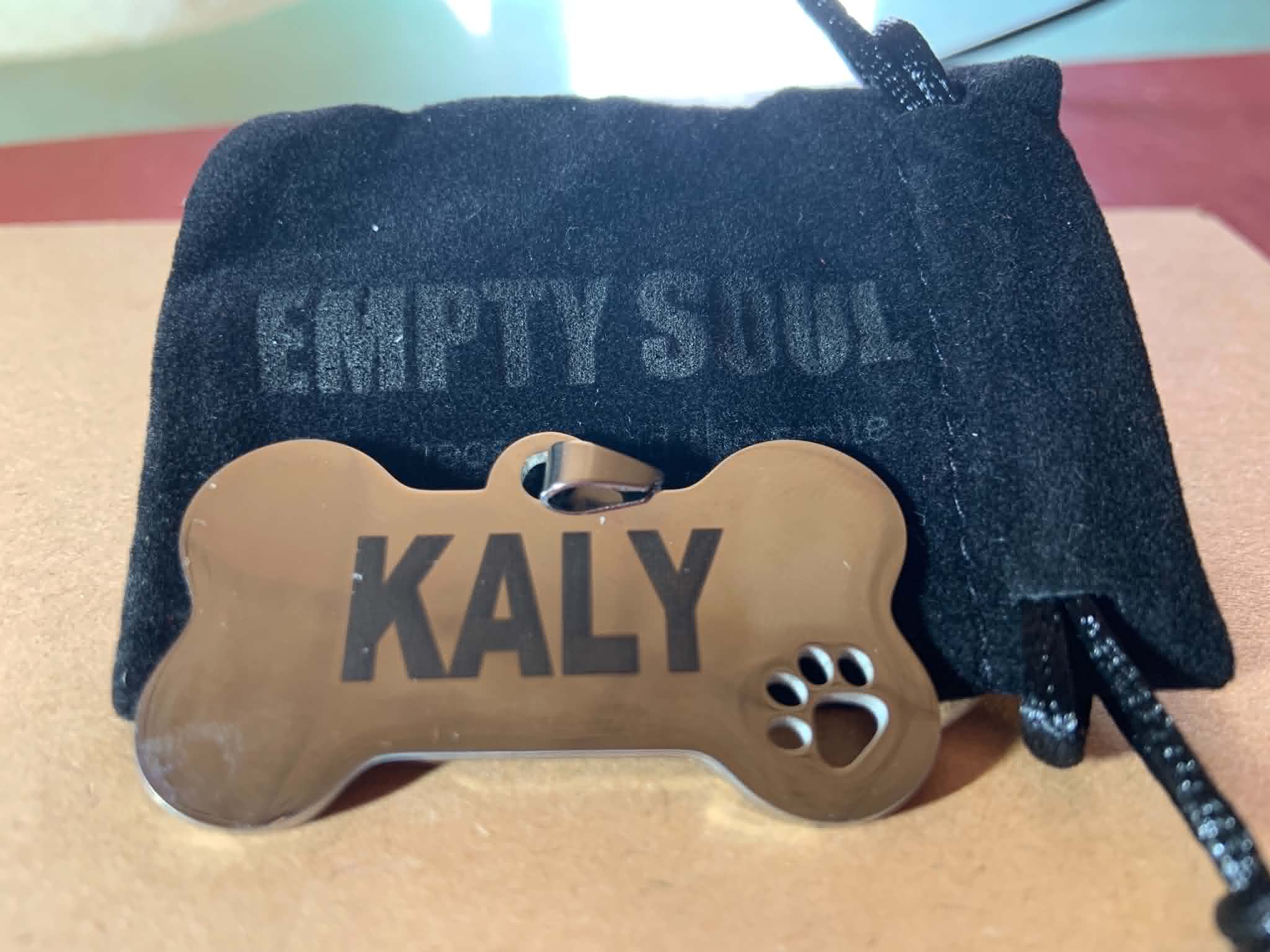 MEDAILLE CHIEN A GRAVER EMPTY TOUTOU EMPTY SOUL