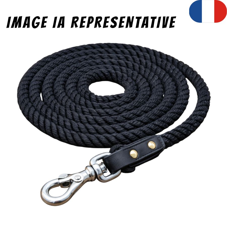 IMAGE IA REPRESENTATIVE (18)