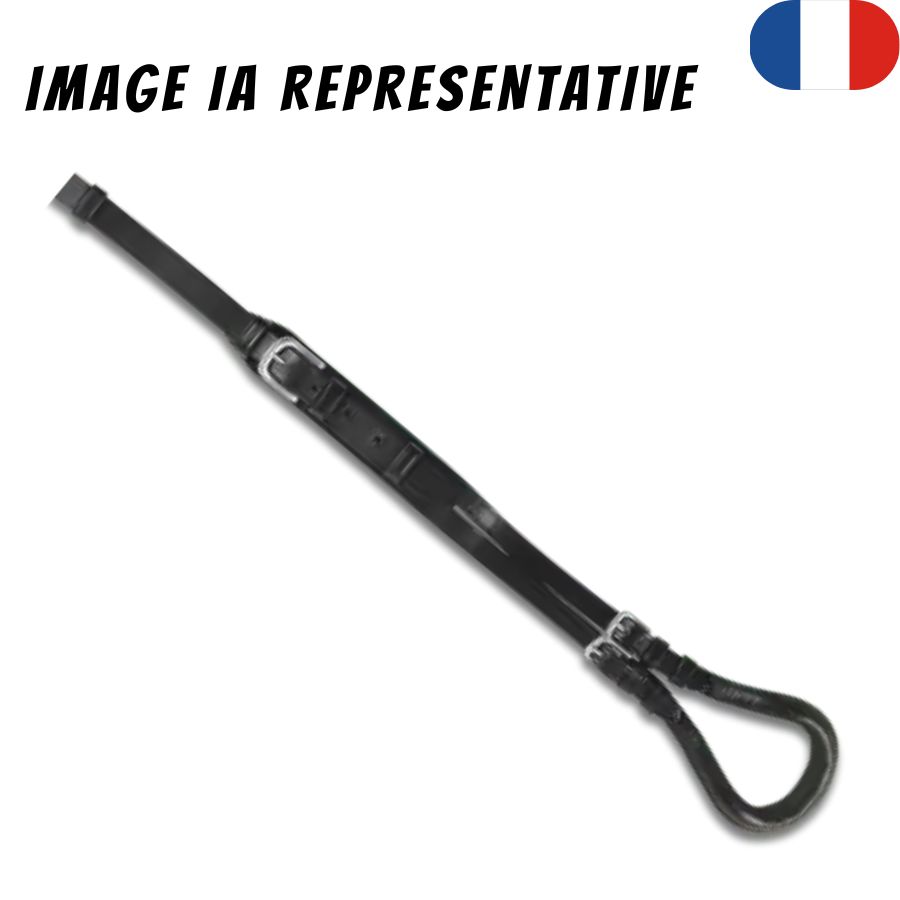 IMAGE IA REPRESENTATIVE (20)