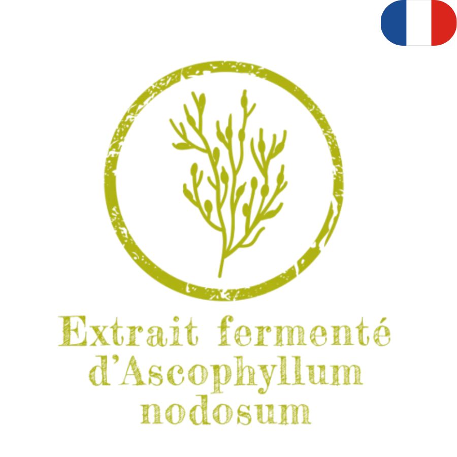 IMAGE IA REPRESENTATIVE (1)
