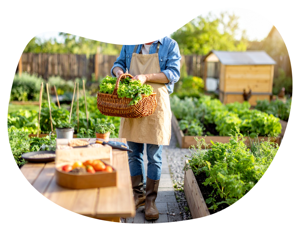 Production alimentaire