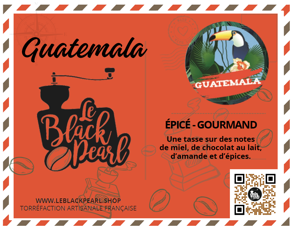 Etiquette-Guatemala-Black-Pearl-Torrefaction-Roanne