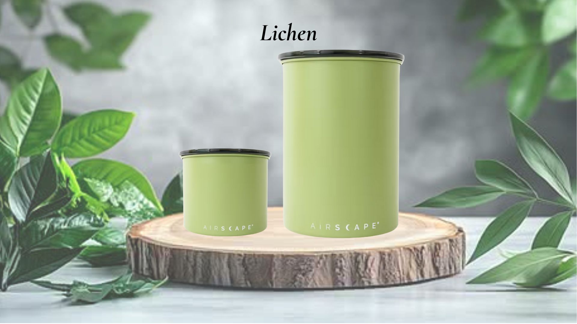 Coffret-Airscape-250g-500g-lichen