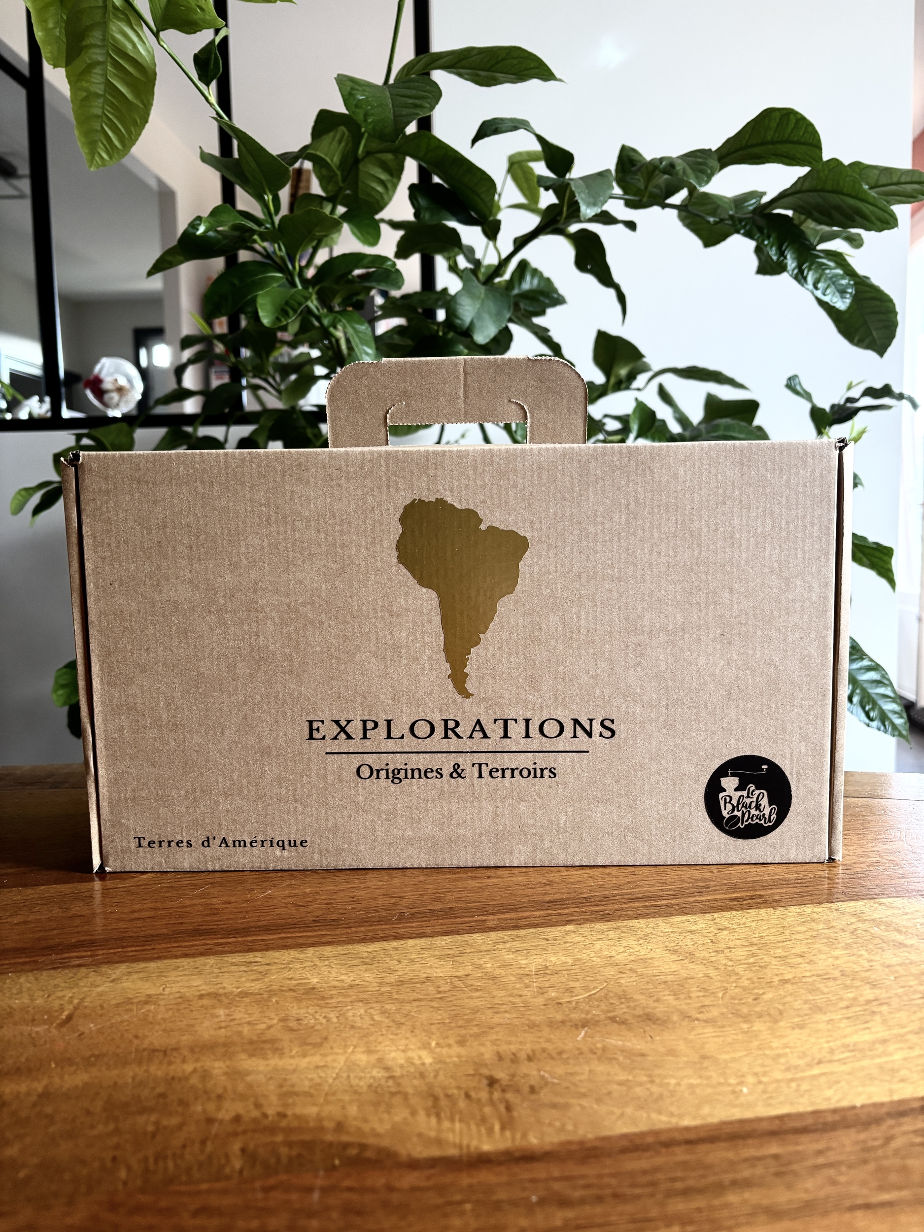 Coffret-premium-Amerique-BlackPearl-Roanne-Torrefaction