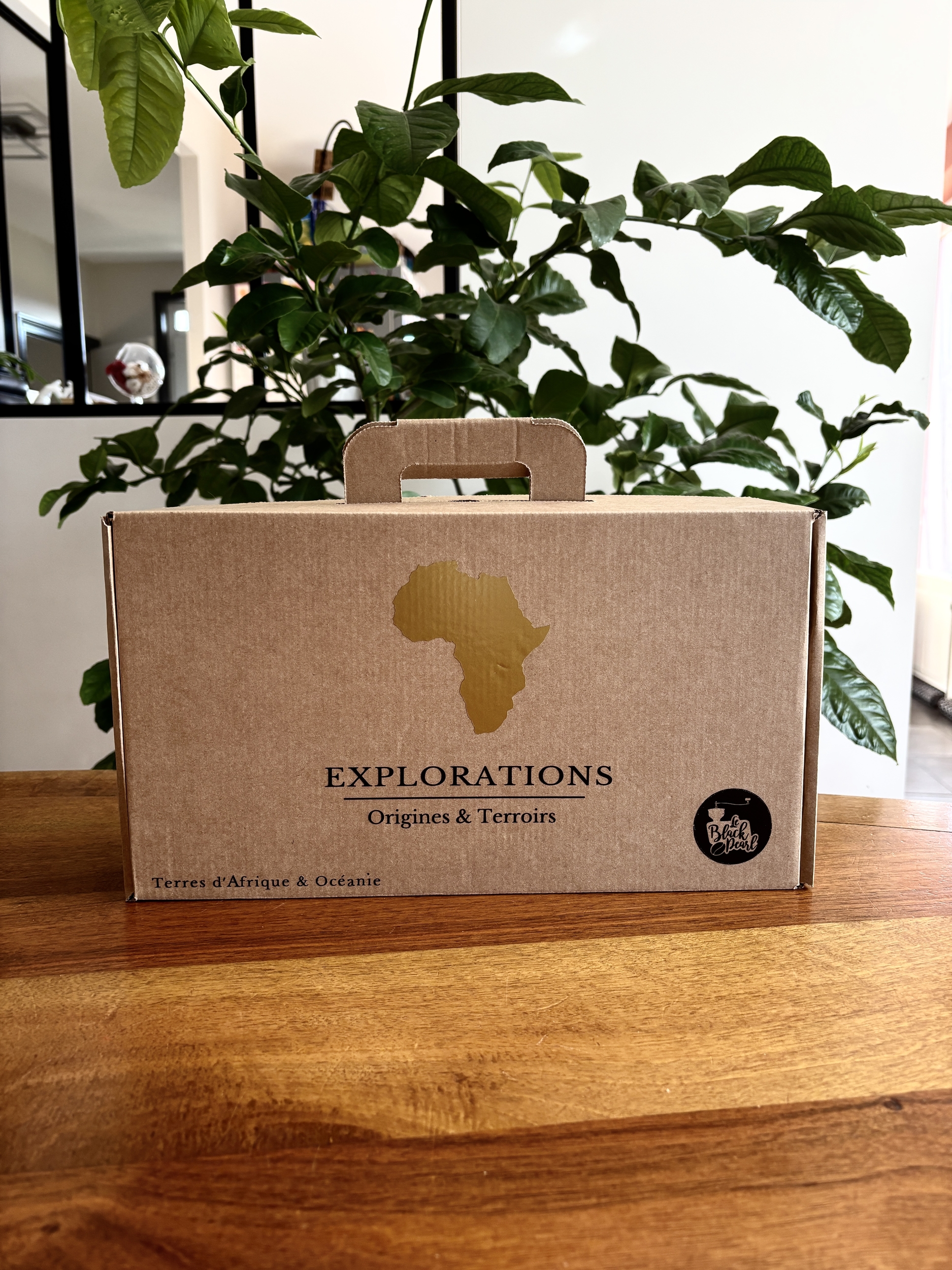 Coffret-premium-Afrique-Oceanie-BlackPearl-Roanne-Torrefaction