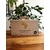 Coffret-premium-Afrique-Oceanie-BlackPearl-Roanne-Torrefaction