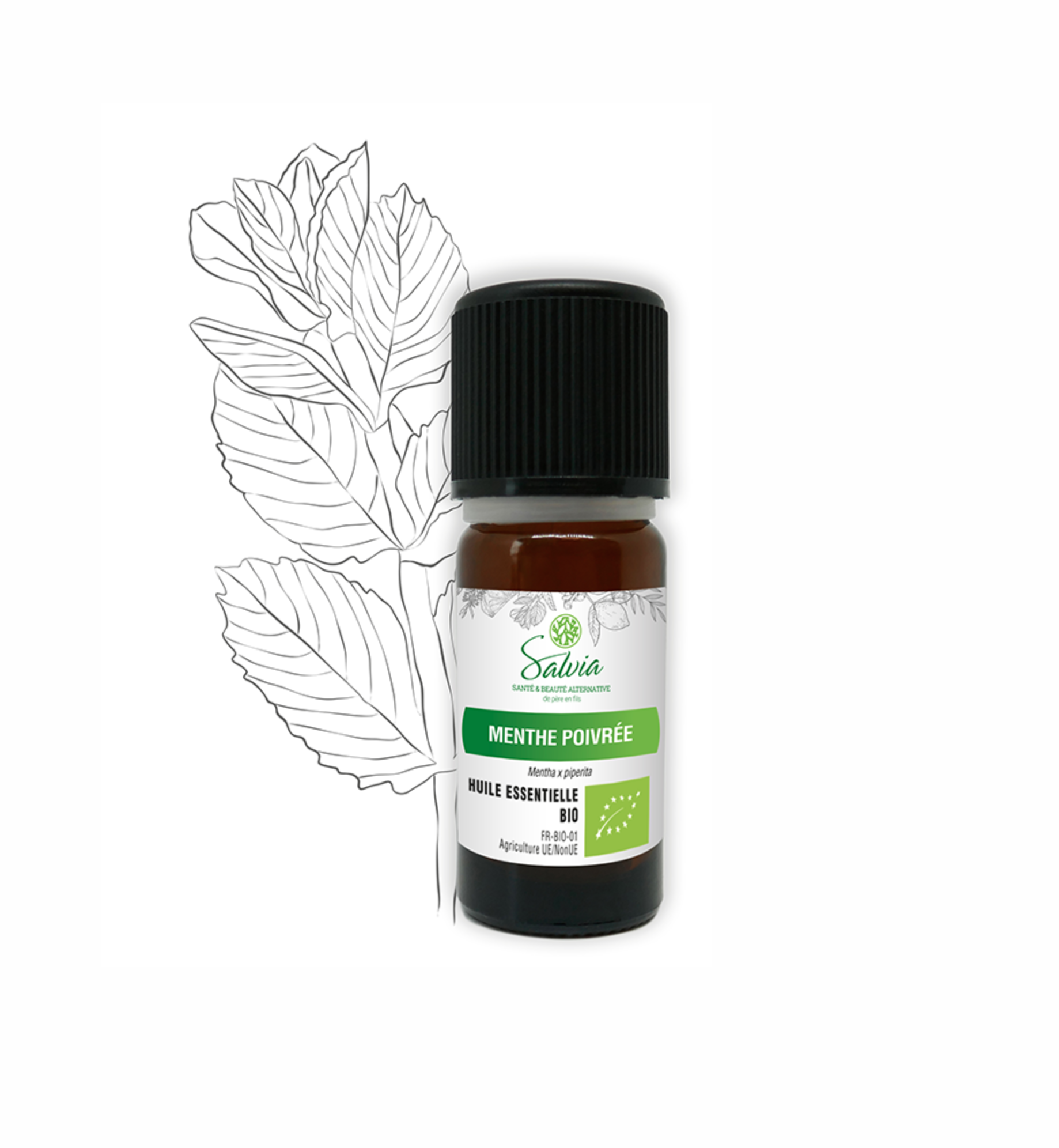 Gm Huile essentielle de menthe poivrée, huile de massage aromathérapie ---  10ml - Prix pas cher