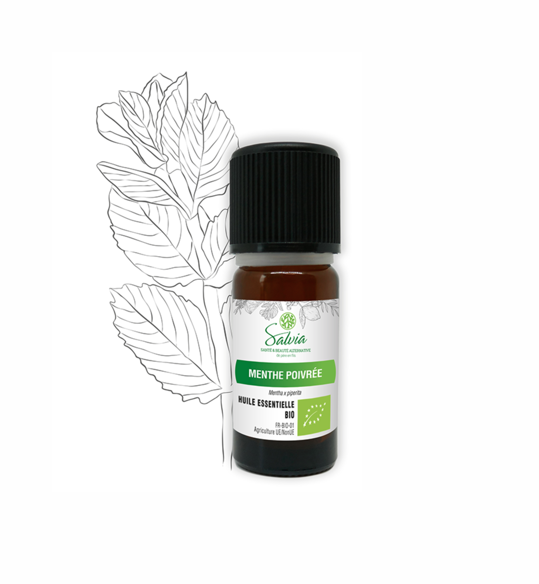 HUILE ESSENTIELLE de menthe poivrée pour la croissance des cheveux Huile de menthe  poivrée pour la respiration et le soulagement d - Cdiscount Santé - Mieux  vivre