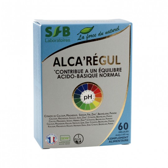 alca-regul 1