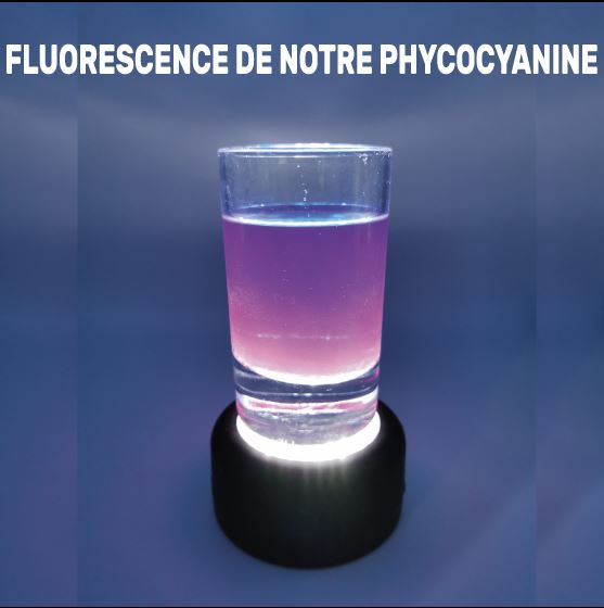 Phycocyanine