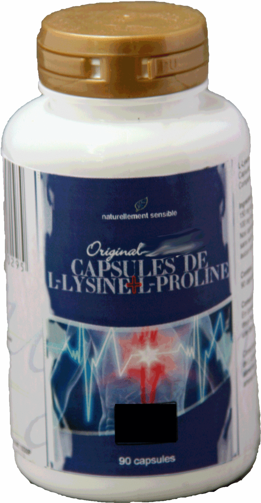 lysine+proline