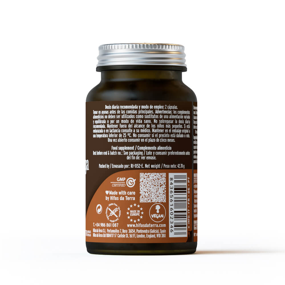 Mico-Chaga-2024-C