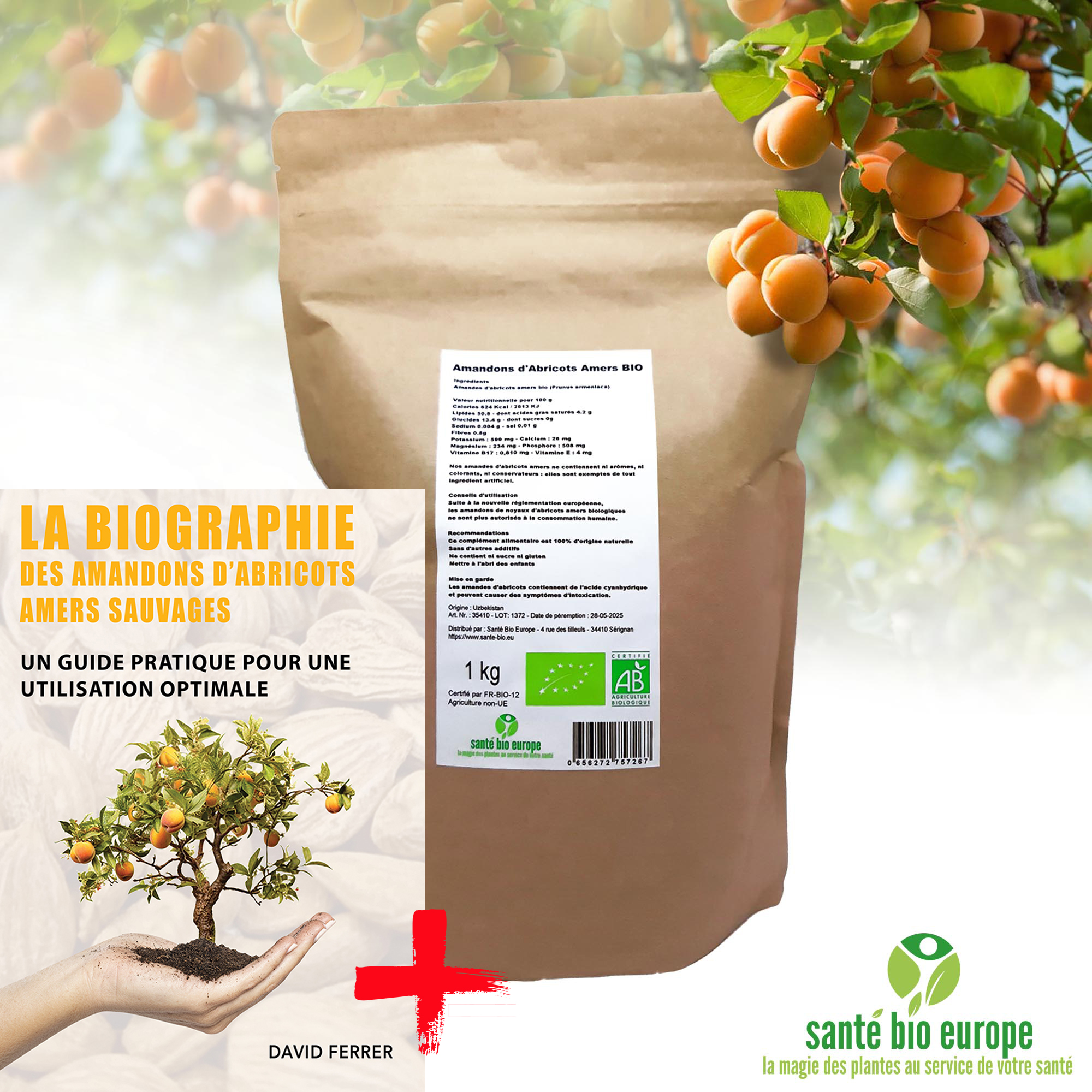 amandons-d-abricots-amers-bio-amande-bitter-kernels-1kg-livre