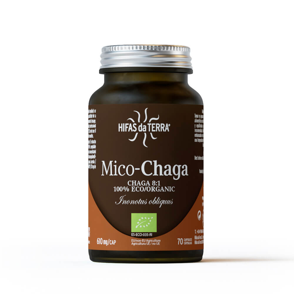 mico-chaga-2024-b