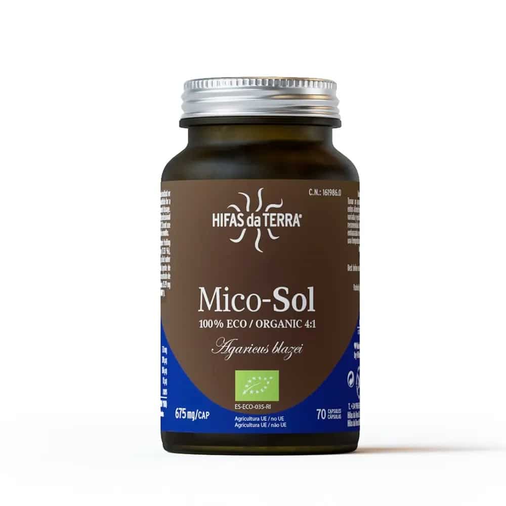 mico-sol-2024-b