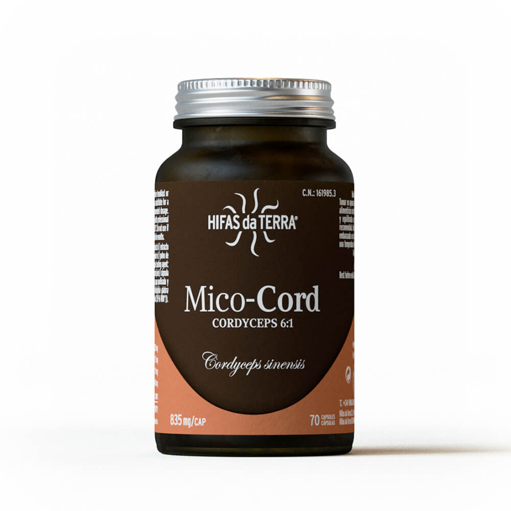 mico-cord-2024-b