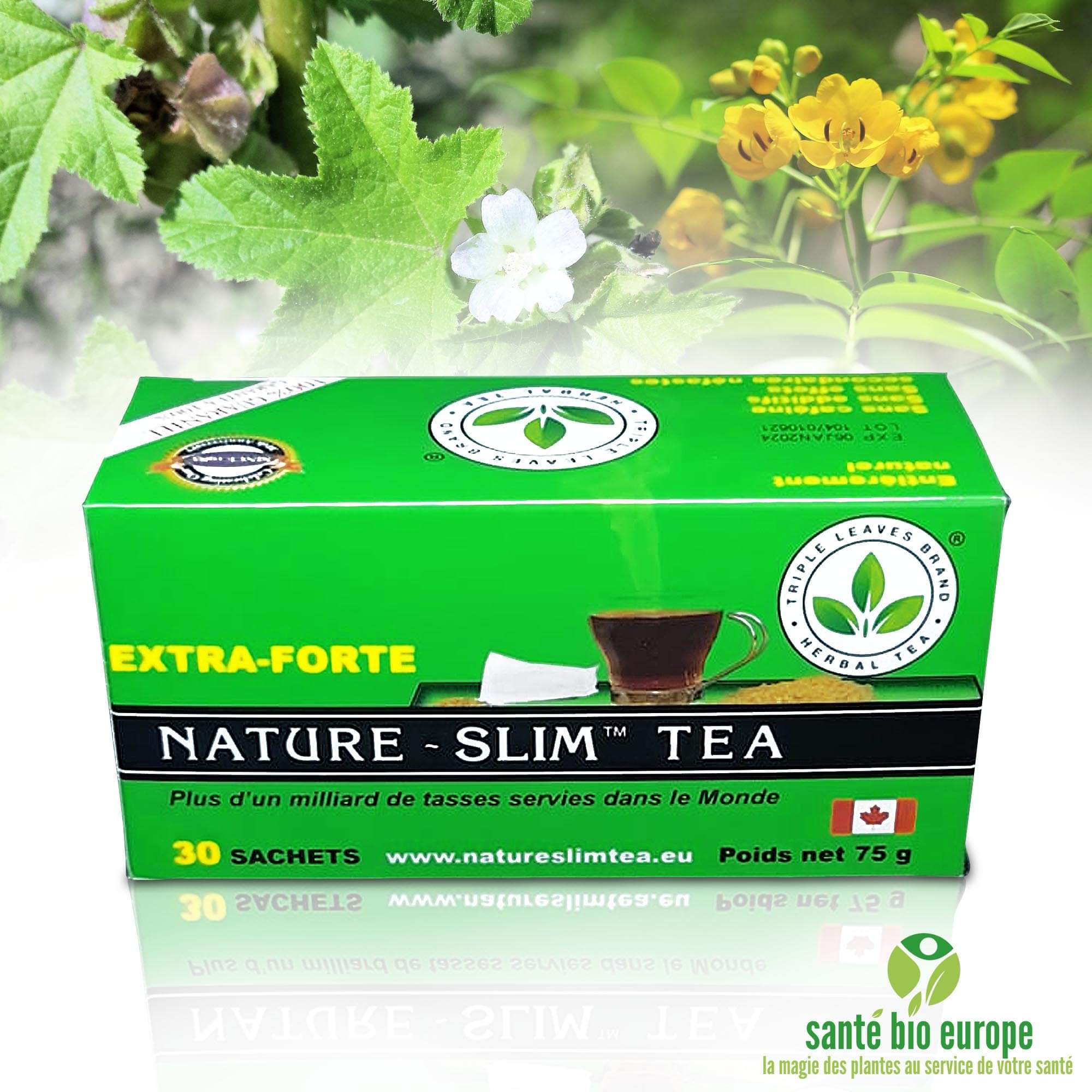 nature slim tea extra forte 5