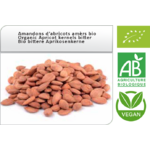 amandons-d-abricots-amers-bio vegan