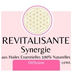 SYNREV-synergie-revitalisante-physique-mentale-medecine-douce_z1