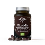 Mico-Mix-2024-A