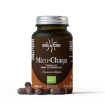 Mico-Chaga-2024-A