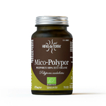 mico-polypor-2024-b