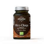 mico-chaga-2024-b