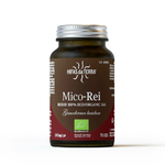 mico-rei-2024-b