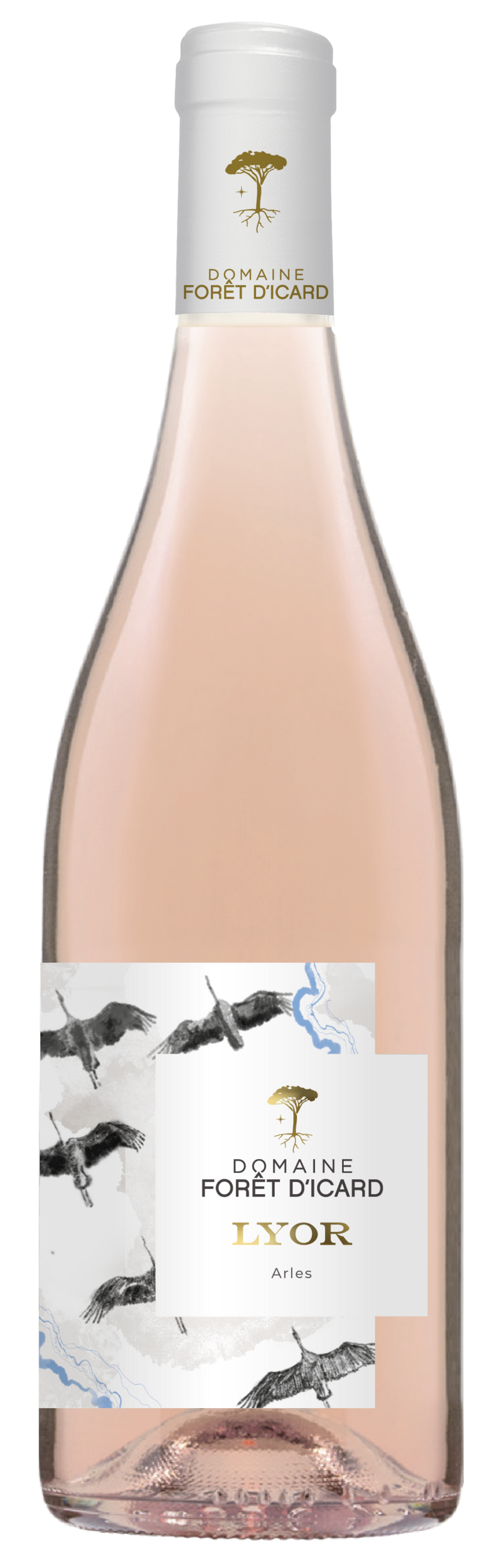 icard rosé