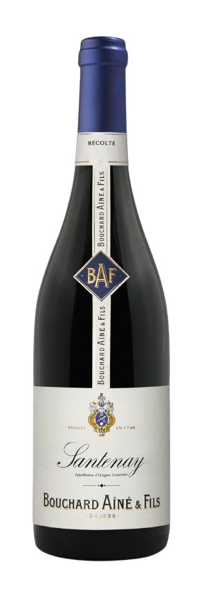 SAntenay-removebg-preview
