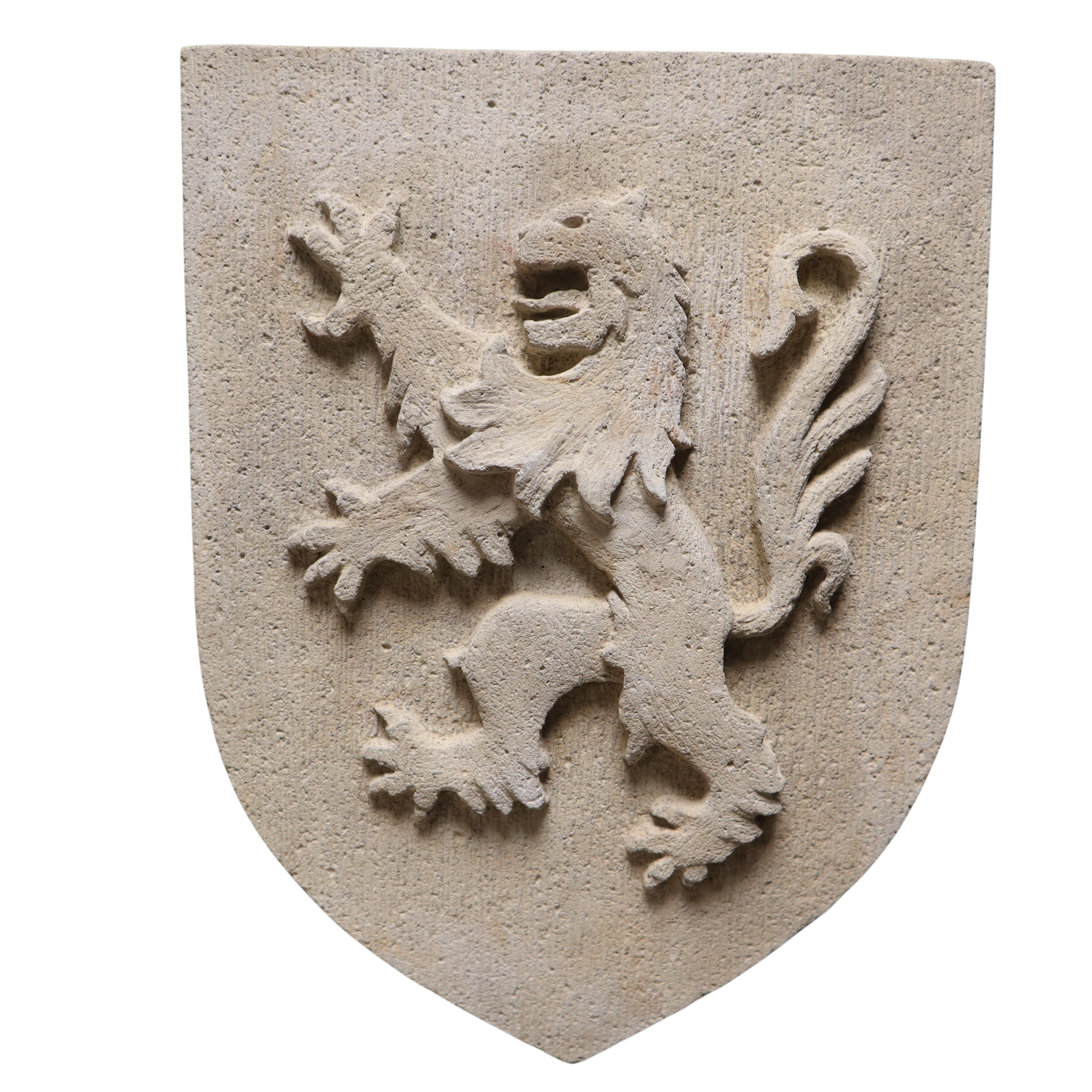 lion anc (1)