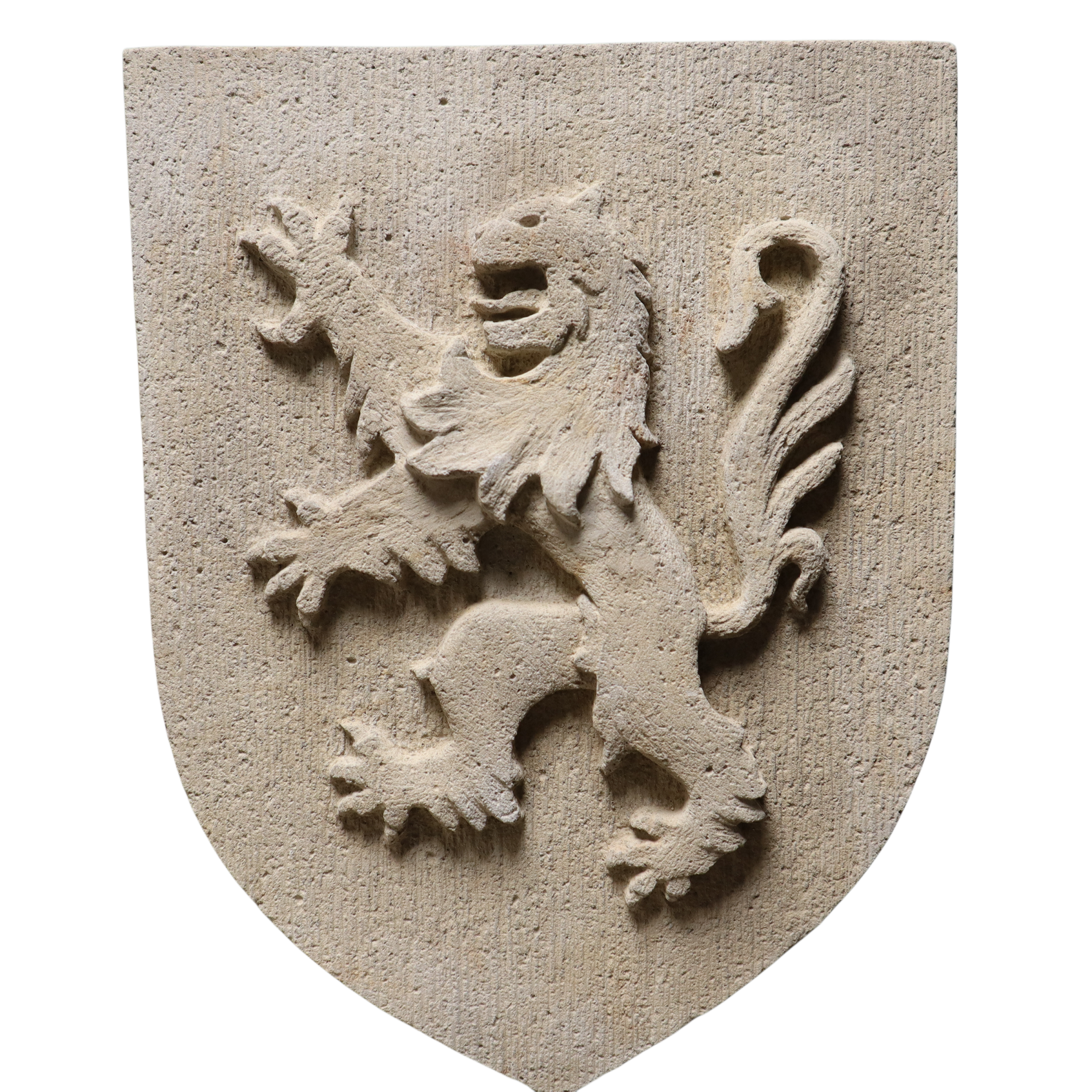 Lion anc (4)