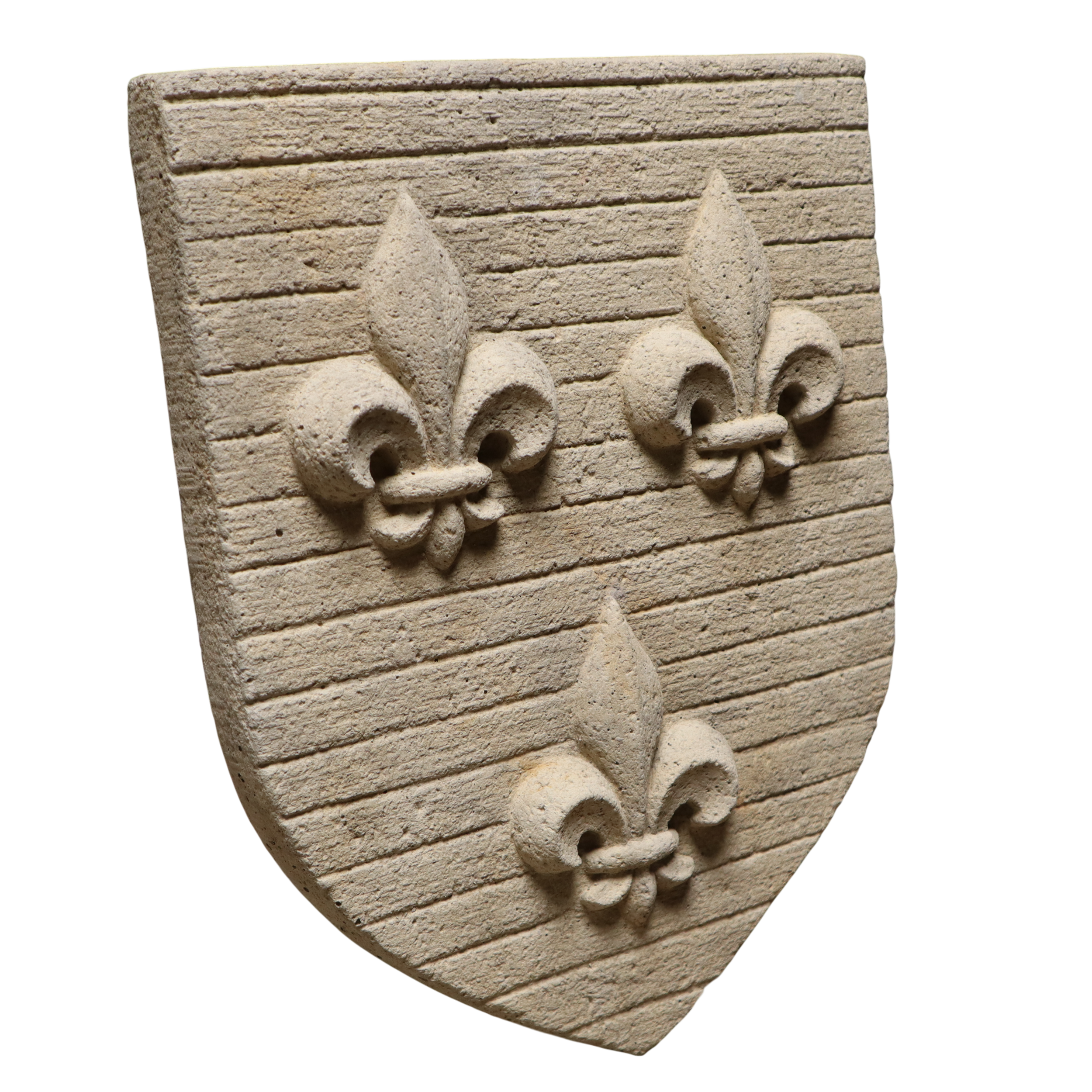 IDF anci (4)