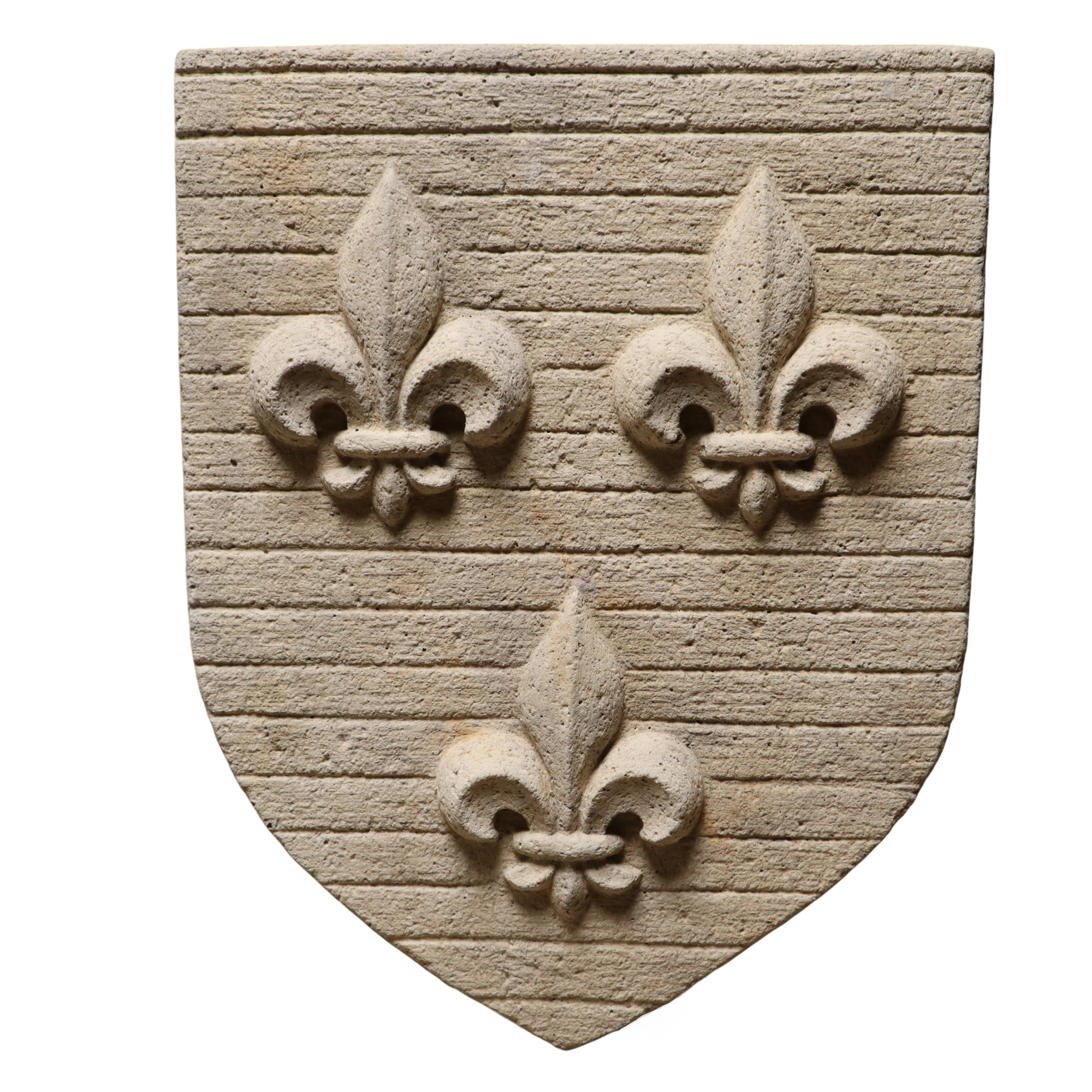 IDF anci (2)