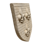 IDF anci (5)