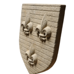 IDF anci (1)
