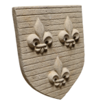 IDF anci (4)
