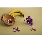 thumbnail_IMG_6415