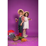 591_foto_64a6b75f9fcde_4